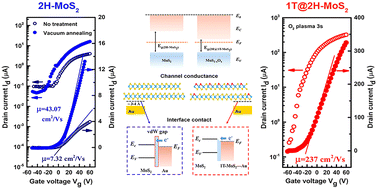 Graphical abstract: Improving electron mobility in MoS2 field-effect transistors by optimizing the interface contact and enhancing the channel conductance through local structural phase transition