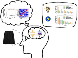 Graphical abstract: A passivation strategy assisting a robust and low consumption power BP-based optical synaptic device for neural computing