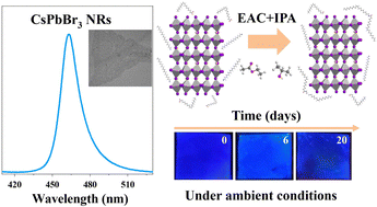 Graphical abstract: Shape-controlled synthesis of CsPbBr3 nanorods with bright pure blue emission and high stability