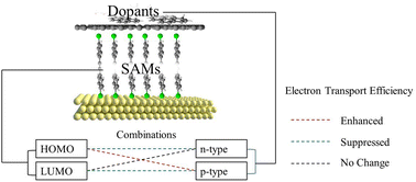 Graphical abstract: Tailoring quantum transport efficiency in molecular junctions via doping of graphene electrodes