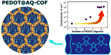 Graphical abstract: Critical transition to a highly conductive state through PEDOT oligomer percolation in redox-active COFs