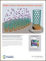 Graphical abstract: Inside back cover