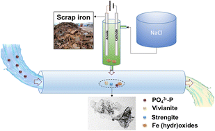 Graphical abstract: Phosphate removal by ex situ generated Fe (hydr)oxides from scrap iron electrocoagulation: the critical role of coprecipitation