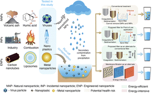 Graphical abstract: Highly effective nanoparticle removal in plant-based water filters