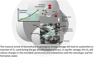 Graphical abstract: Physicochemical and microbiological effects of geological biomethane storage in deep aquifers: introduction of O2 as a cocontaminant