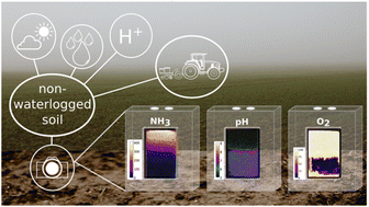Graphical abstract: Optical chemical sensors for soil analysis: possibilities and challenges of visualising NH3 concentrations as well as pH and O2 microscale heterogeneity