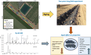 Graphical abstract: Changes of labile, stable and water-soluble fractions of biochar after two years in a vineyard soil