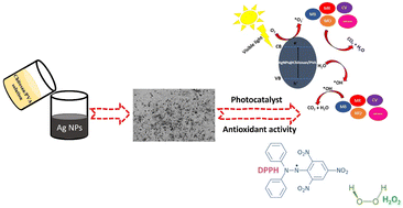 Graphical abstract: Chitosan/PVA-supported silver nanoparticles for azo dyes removal: fabrication, characterization, and assessment of antioxidant activity