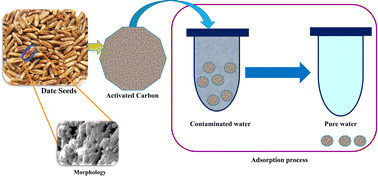 Graphical abstract: Industrial biomass waste as an economical, potential adsorbent for removing the Bismarck Brown R dye and zinc metal ions from effluents
