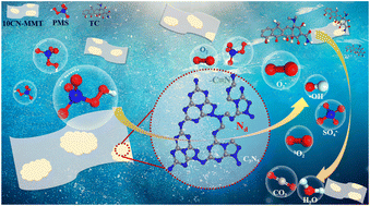 Graphical abstract: Anchoring defective metal-free catalysts on montmorillonite nanosheets for tetracycline removal: synergetic adsorption-catalysis and mechanism insights