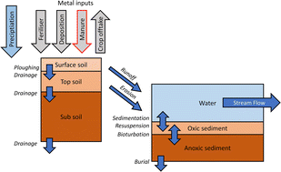 Graphical abstract: Environmental risk assessment of the use of zinc oxide medicated feeds for weaning piglets in the UK