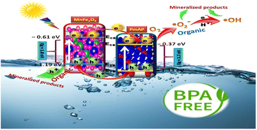 Graphical abstract: Design of inexpensive, magnetically separable MnFe2O4/poly meta-amino phenol (PmAP) heterostructure: catalyst for bisphenol A & reactive blue 19 mineralisation