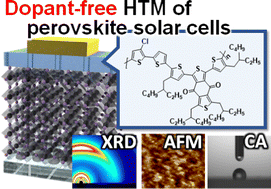 Graphical abstract: A chlorinated polythiophene-based polymer as a dopant-free hole transport material in perovskite solar cells