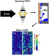 Graphical abstract: On the water transport mechanism through the microporous layers of operando polymer electrolyte fuel cells probed directly by X-ray tomographic microscopy