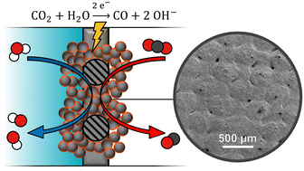 Graphical abstract: Electrowetting limits electrochemical CO2 reduction in carbon-free gas diffusion electrodes
