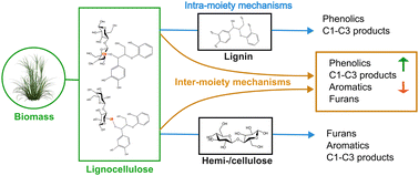 Graphical abstract: Impact of lignin–carbohydrate complex (LCC) linkages on cellulose pyrolysis chemistry