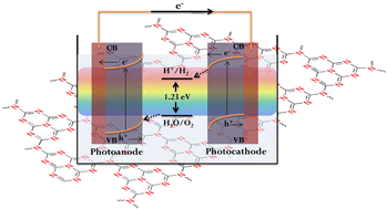 Graphical abstract: A review on the advancements of graphitic carbon nitride-based photoelectrodes for photoelectrochemical water splitting