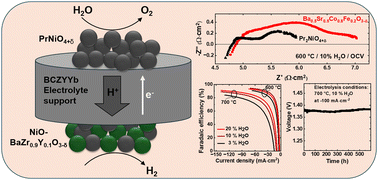 Graphical abstract: A highly stable Pr2NiO4+δ oxygen electrode in electrolyte supported protonic ceramic electrolysis cells (PCECs) for hydrogen production with high faradaic efficiency