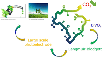 Graphical abstract: Biofuels and hydrogen production: back to the Langmuir–Blodgett approach for large-scale structuration of Bi-based photoelectrodes