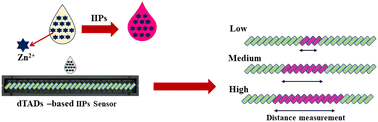 Graphical abstract: Simple distance-based thread analytical device integrated with ion imprinted polymer for Zn2+ quantification in human urine samples