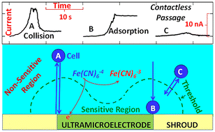 Graphical abstract: Average collision velocity of single yeast cells during electrochemically induced impacts