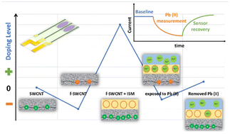 Graphical abstract: A highly sensitive ion-selective chemiresistive sensor for online monitoring of lead ions in water