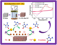 Graphical abstract: Rapid electrodeposition of Cu nanoparticle film on Ni foam as an integrated 3D free-standing electrode for non-invasive and non-enzymatic creatinine sensing