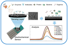 Graphical abstract: A disposable paper-based electrochemical biosensor decorated by electrospun cellulose acetate nanofibers for highly sensitive bio-detection