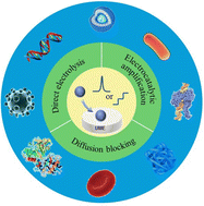 Graphical abstract: Impact electrochemistry for biosensing: advances and future directions