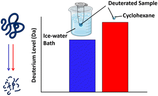 Graphical abstract: A millimeter water-in-oil droplet as an alternative back exchange prevention strategy for hydrogen/deuterium exchange mass spectrometry of peptides/proteins