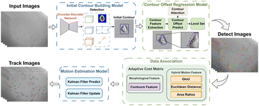 Graphical abstract: HFM-Tracker: a cell tracking algorithm based on hybrid feature matching
