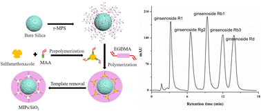 Graphical abstract: Molecularly imprinted polymer-coated silica microbeads for high-performance liquid chromatography