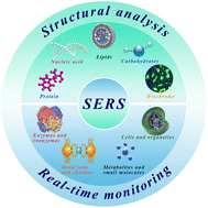 Graphical abstract: Deciphering biomolecular complexities: the indispensable role of surface-enhanced Raman spectroscopy in modern bioanalytical research