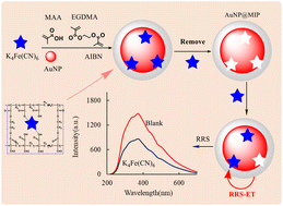 Graphical abstract: Rapid and selective RRS determination of ferrocyanide with a nanogold surface molecularly imprinted polymethacrylic acid probe