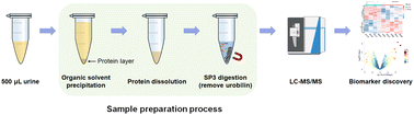 Graphical abstract: An effective urobilin clearance strategy based on paramagnetic beads facilitates microscale proteomic analysis of urine