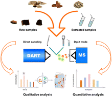 Graphical abstract: Rapid analysis of bioactive compounds from citrus samples by direct analysis in real-time mass spectrometry combined with chemometrics