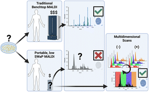 Graphical abstract: Multidimensional mass profiles increase confidence in bacterial identification when using low-resolution mass spectrometers