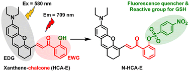 Graphical abstract: Developing NIR xanthene-chalcone fluorophores with large Stokes shifts for fluorescence imaging