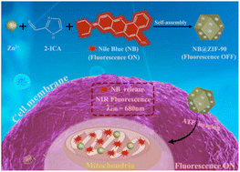 Graphical abstract: Construction of a novel near-infrared fluorescent Nile blue@MOF nanoprobe for imaging mitochondrial ATP in living cells