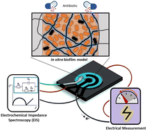 Graphical abstract: Combined electrical-electrochemical phenotypic profiling of antibiotic susceptibility of in vitro biofilm models