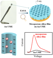 Graphical abstract: Ultrasensitive detection of dopamine using Au microelectrodes integrated with mesoporous silica thin films