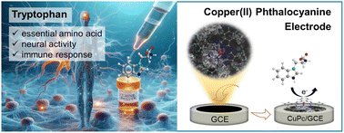 Graphical abstract: Copper(ii) phthalocyanine as an electrocatalytic electrode for cathodic detection of urinary tryptophan