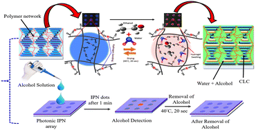 Graphical abstract: Unveiling the potential of polymer cholesteric liquid crystal interpenetrating networks as a label-free alcohol biochemical sensor