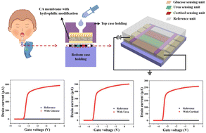 Graphical abstract: An integrated electronic tag-based vertical flow assay (e-VFA) with micro-sieve and AlGaN/GaN HEMT sensors for multi-target detection in actual saliva