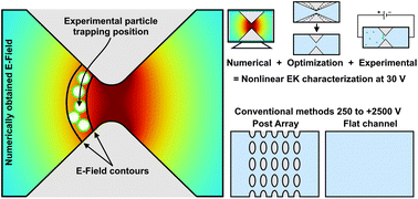 Graphical abstract: Enabling the characterization of the nonlinear electrokinetic properties of particles using low voltage