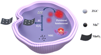 Graphical abstract: Lighting up endogenous H2O2 in the tumor microenvironment using a dual-mode nanoprobe for long afterglow and MR bioimaging