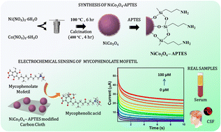 Graphical abstract: Sea urchin nanostructured nickel cobaltite modified carbon cloth integrated wearable patches for the on-site detection of the immunosuppressant drug mycophenolate mofetil