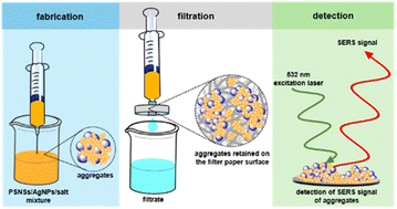 Graphical abstract: A green approach to nanoplastic detection: SERS with untreated filter paper for polystyrene nanoplastics