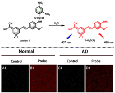 Graphical abstract: A novel NIR fluorescent probe for visualizing hydrogen sulfide in Alzheimer's disease