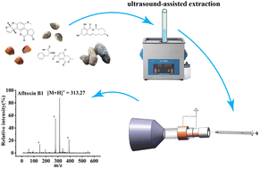 Graphical abstract: Rapid detection of aflatoxin B1, zearalenone and ochratoxin A in grains by thermal desorption dielectric barrier discharge ionization mass spectrometry